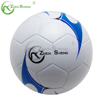 The Best Soccer Ball.png