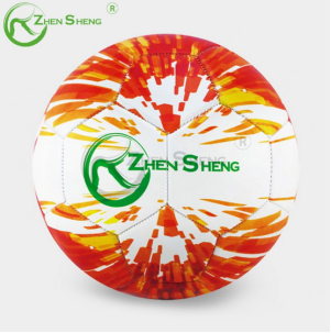 The Best Soccer Ball.png
