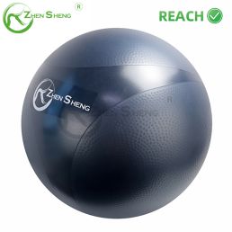 Harmony Style Comfortable Exercise Pilates Swiss Fitness Balance Yoga Ball Wholesale